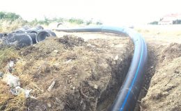 WhatsApp Image 2017-10-18 at 15.06.37